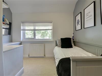 Picture 20